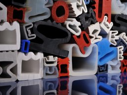 blanke_profile_3paint